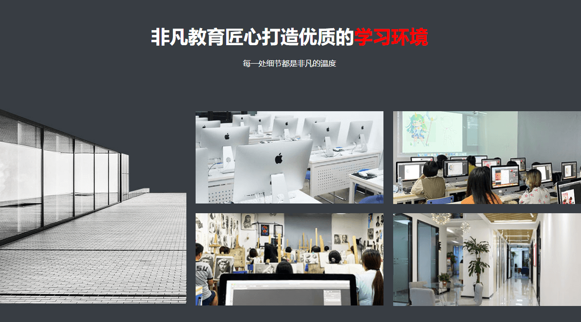 商业插画运营精品班