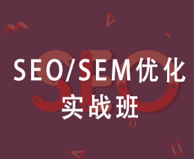 SEO/SEM优化实战班
