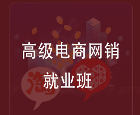 高级电商网销就业班