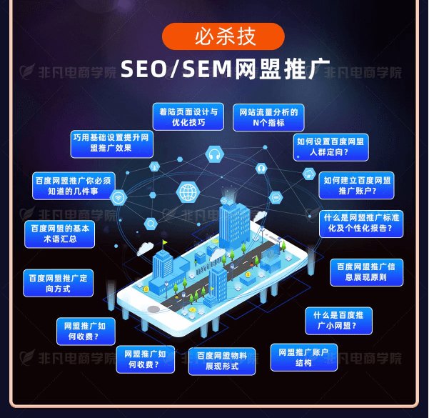 高级电商网销就业班