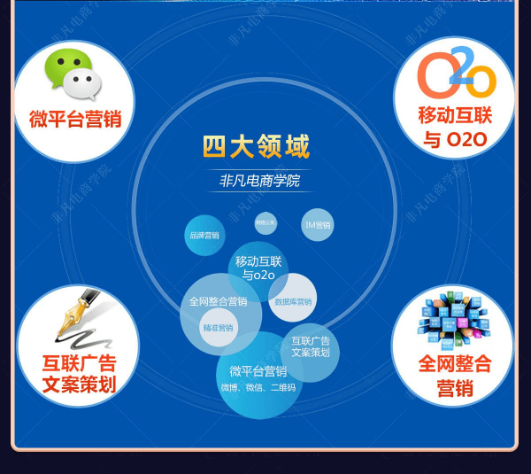 高级电商网销就业班