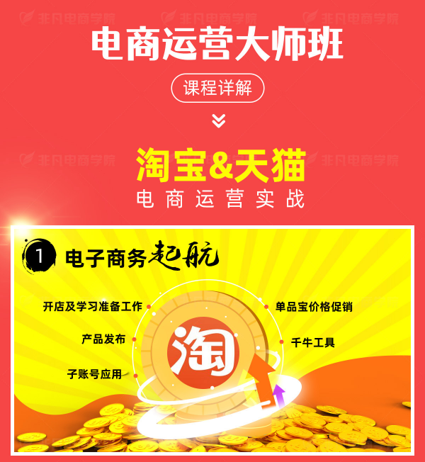 电商运营大师班(电子商务)