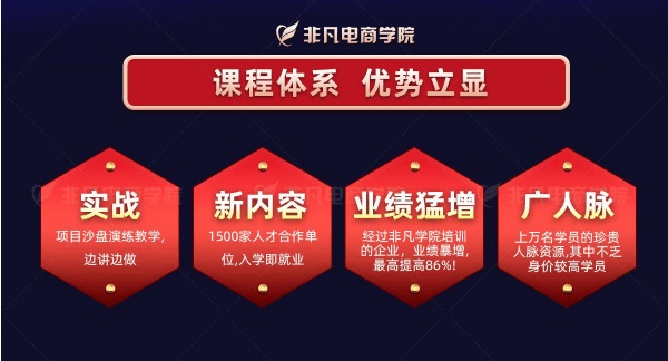 高级电商网销就业班
