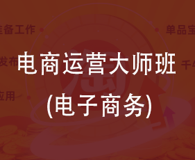电商运营大师班(电子商务)