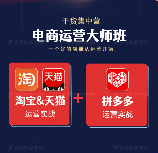 电商运营大师班(电子商务)