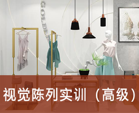 视觉陈列实训(高级)