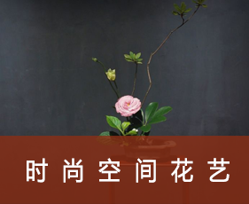 时尚空间花艺