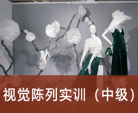 视觉陈列实训(中级)
