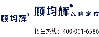顾均辉战略定位