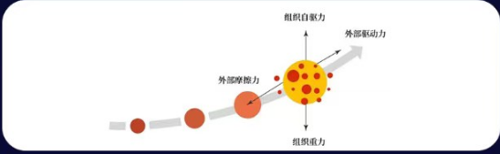 数智时代重塑增长-企业组织迭代与利润倍增大师课
