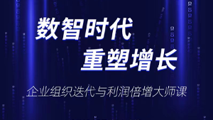 数智时代重塑增长-企业组织迭代与利润倍增大师课