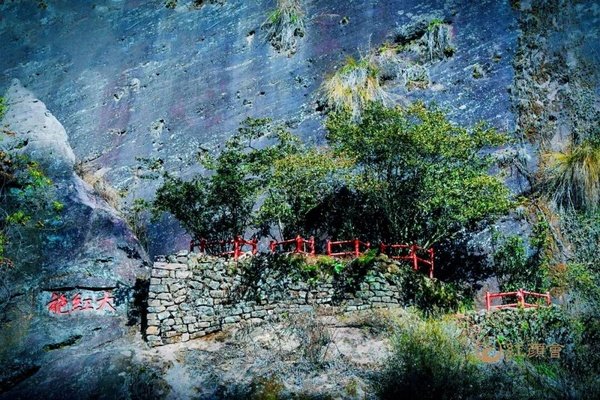 红颜丹心学堂 | 武夷山站圆满落幕 | 武夷山水一程,此心光明一生