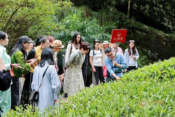 红颜丹心学堂 | 武夷山站圆满落幕 | 武夷山水一程,此心光明一生