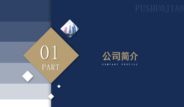 蒲说教育企业培训项目