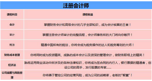 仁和注册会计师高效综合班