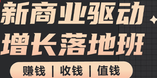 张琦 新商业驱动增长落地班