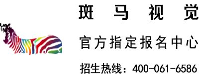 斑马视觉