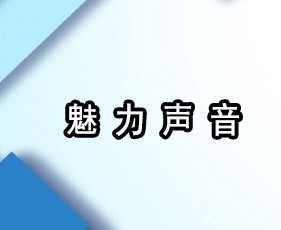 《魅力声音》贵阳班