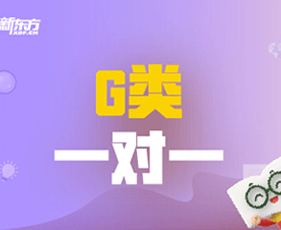 GRE/GMAT VIP一对一