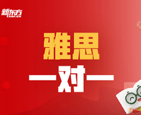 雅思VIP一对一