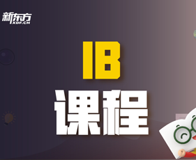 IB课程