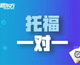 托福VIP一对一