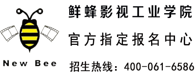 鲜蜂影视工业学院