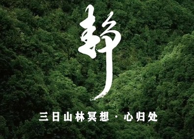 三日山林冥想·心归处