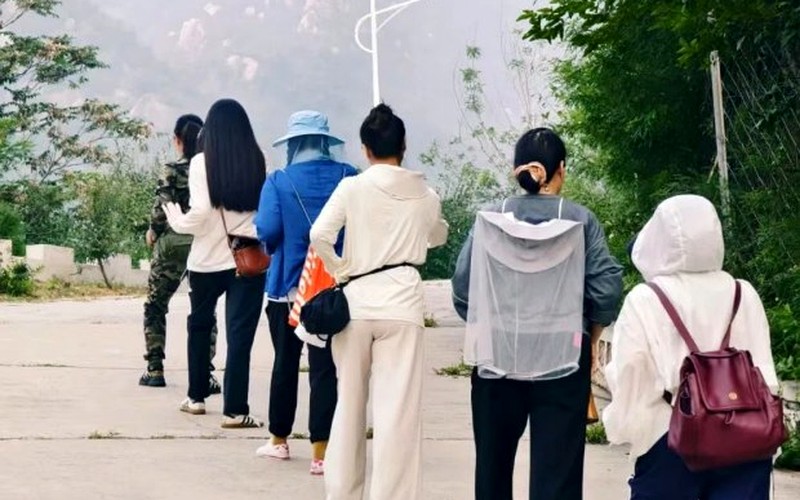 太极行与普通公园散步有什么不同?素源文化传播丁武将博士生命资产管理课题