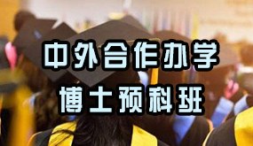 中外合作办学博士预科班招生简章