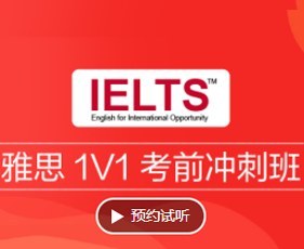 雅思一对一考前冲刺班