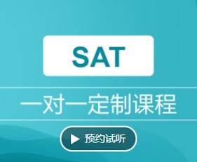Sat一对一定制课程