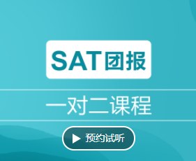 Sat一对二课程(团报)
