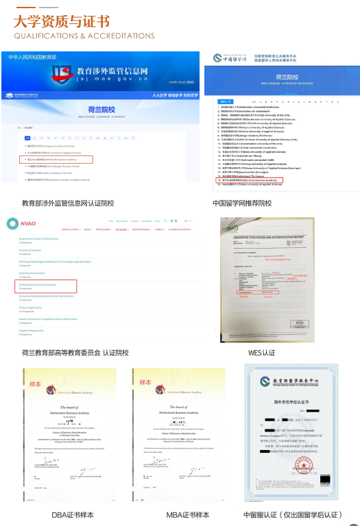 荷兰NLBA商学院工商管理博士DBA课程
