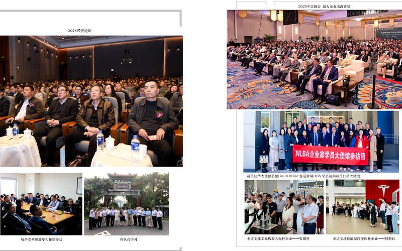 免联考在职博士国家承认吗?新华商学院荷兰NLBA商学院DBA报考条件与学位认证课题
