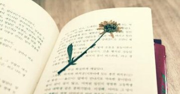 品牌运营&店铺精细化管理有那学入学需求?