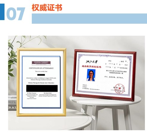 浙江大学中澳图式治疗ISST国际认证连续培训项目