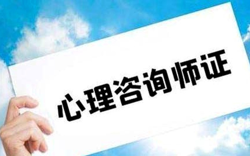 陪诊师与普通医院跑腿有什么区别?智慧父母云学苑诊前评估与绿色通道资源课题