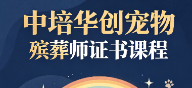 中培华创宠物殡葬师证书课程