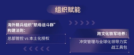 中国企业出海战略研习营