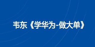 韦东《学华为-做大单》课程