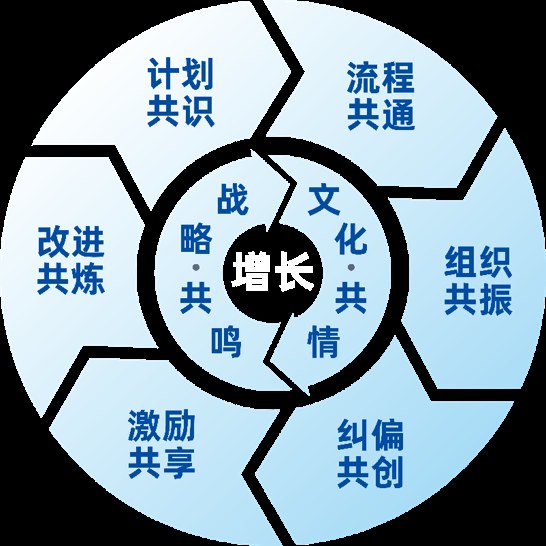 王笑菲《总裁执行模式7.0》课程