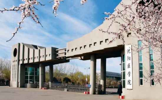 沈阳医学院同等学力申请硕士学位公共卫生与预防医学专业招生简章(学术型硕士学位)
