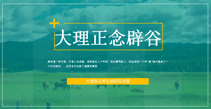 大理正念辟谷养生疗愈基地