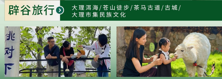 大理正念辟谷养生疗愈基地
