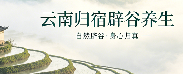 雨林深呼吸:2026 西双版纳自然禅养旅居