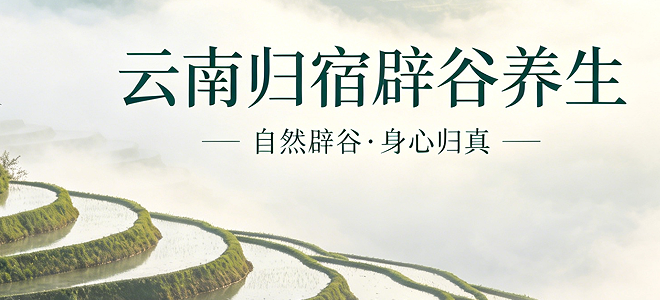 止语观心:2026归宿静心静修营