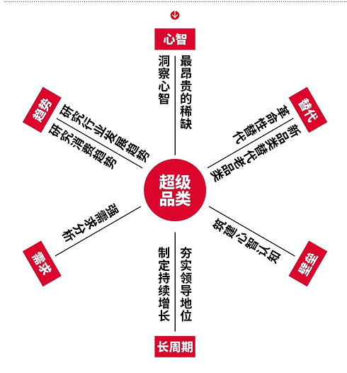 《超级品类增长战略》