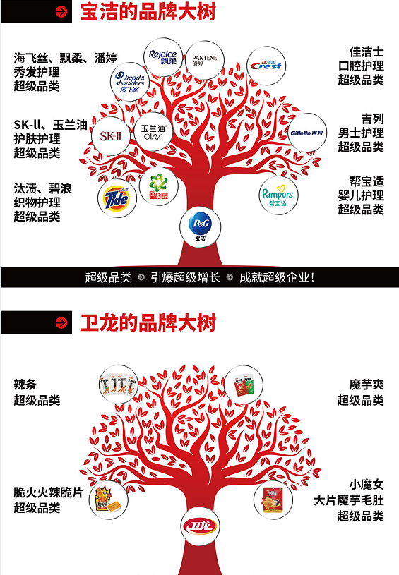 《超级品类增长战略》