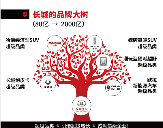 《超级品类增长战略》